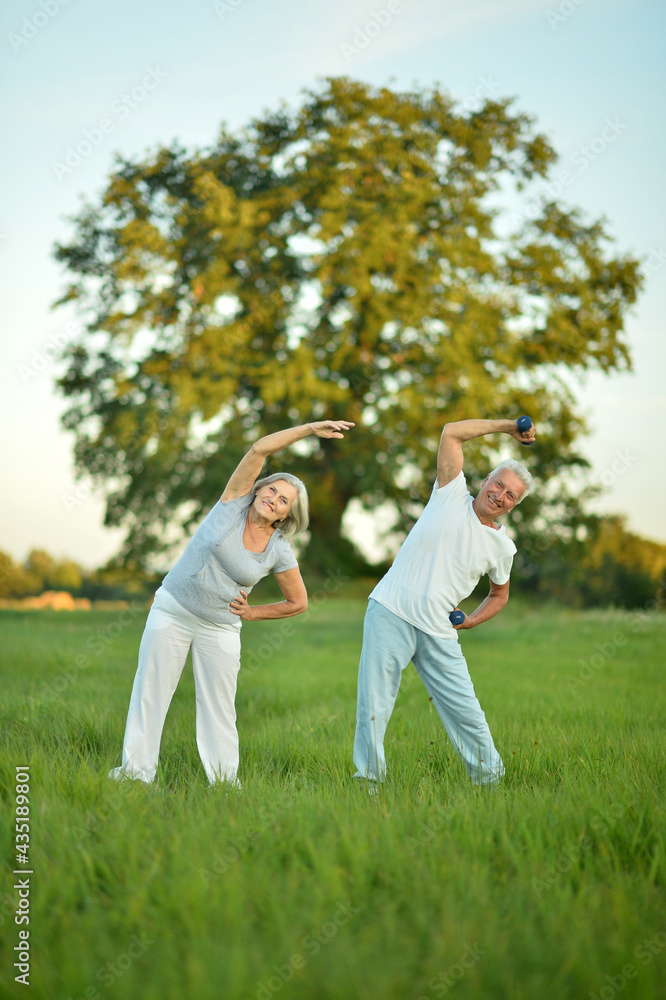 Fototapeta premium fit senior couple exercising in park