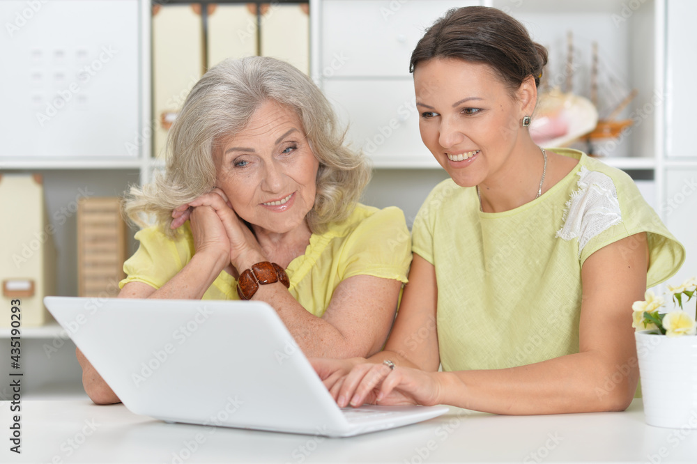 mother and daughter sitting at table with laptop, at home mother and daughter sitting at table with laptop, at home