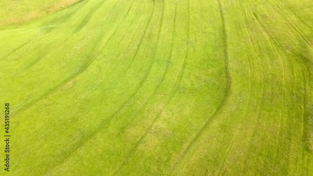 Incredibly beautiful aerial view landscape: green meadows, fields, trees Incredibly beautiful aerial view landscape: green meadows, fields, trees