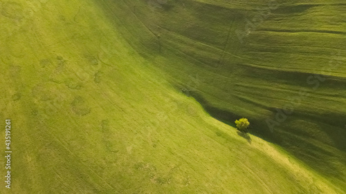 Incredibly beautiful aerial view landscape: green meadows, fields, trees