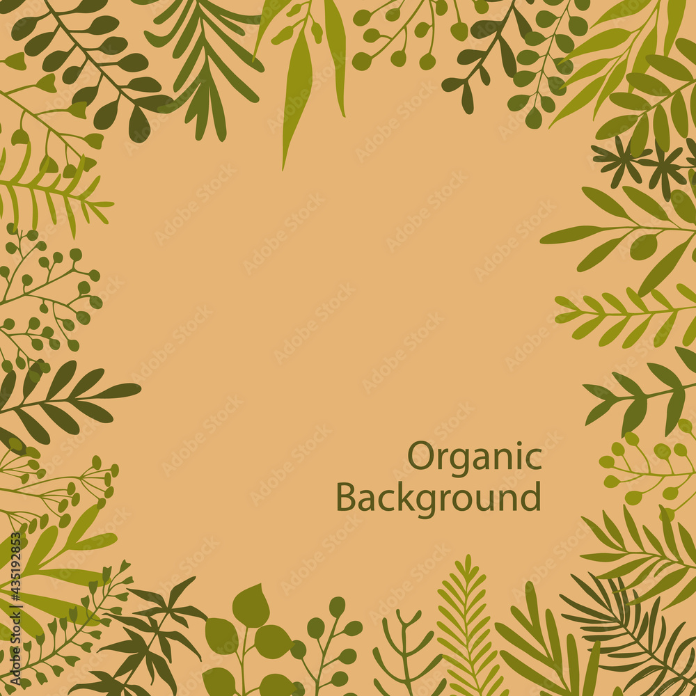 green twigs branches oragnic style frame background