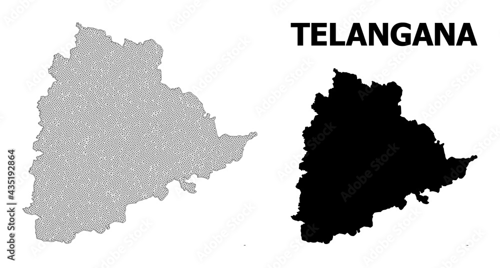 Polygonal mesh map of Telangana State in high detail resolution. Mesh lines, triangles and points form map of Telangana State.