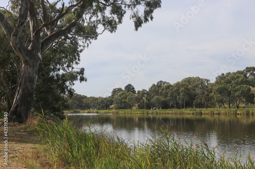 The Barwon River in Geelong, Australia