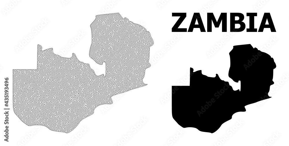 Polygonal mesh map of Zambia in high detail resolution. Mesh lines, triangles and points form map of Zambia.