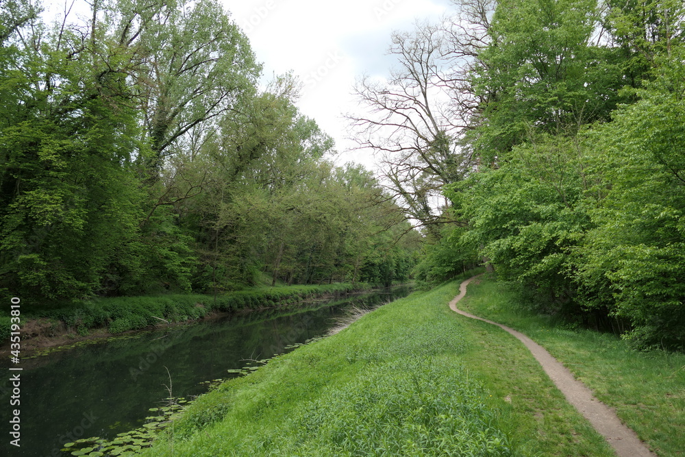 Naklejka premium Idyllic canal with a narrow hiking trail