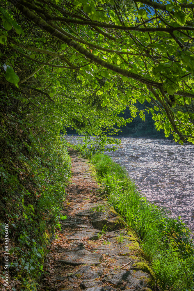 Obraz premium An der wilden Ilz