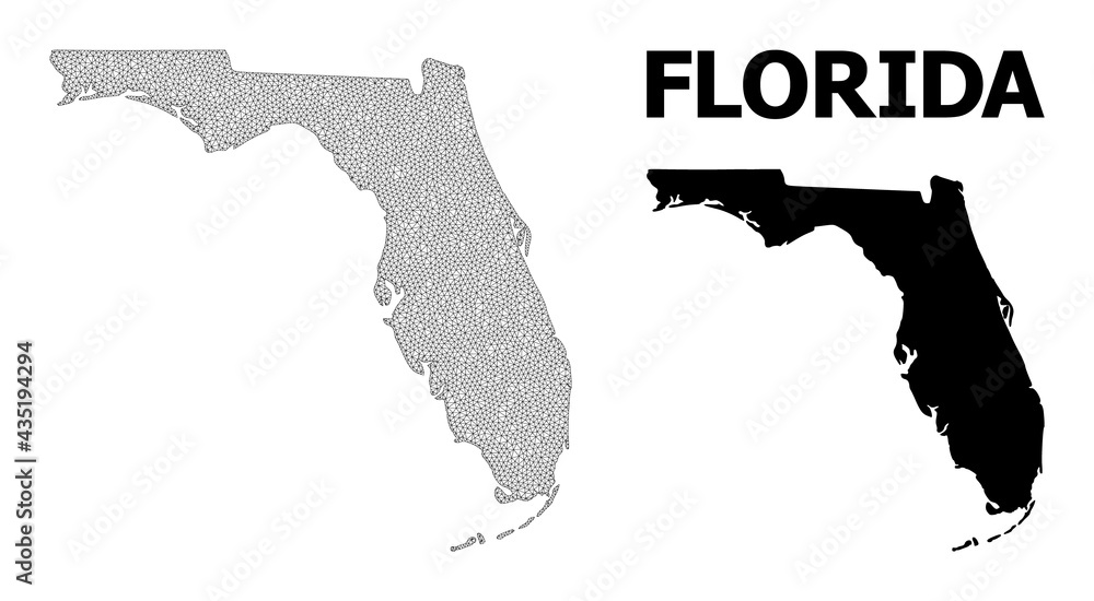 Polygonal mesh map of Florida State in high detail resolution. Mesh ...