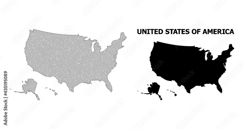 Fototapeta Polygonal mesh map of USA territories in high detail resolution. Mesh lines, triangles and dots form map of USA territories.