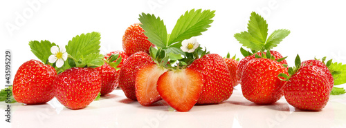 Erdbeeren mit Blätter und Blüten - Panorama Freigestellt