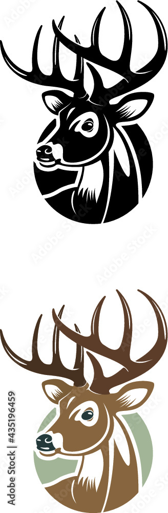 Fototapeta premium buck deer head