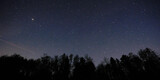 Black silhouettes of coniferous trees, starry sky, shooting stars.