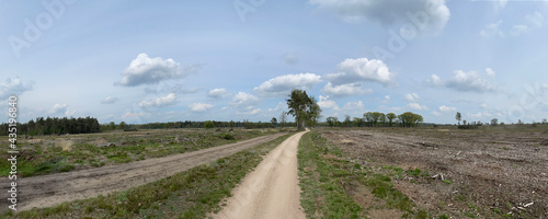 Panoramic from the sallandse heuvelrug national park photo