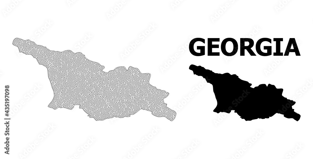 Polygonal mesh map of Georgia in high detail resolution. Mesh lines, triangles and points form map of Georgia.