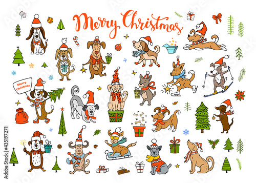 Fototapeta Naklejka Na Ścianę i Meble -  cute funny christmas and happy new year dogs wearing winter santa claus hats scarfs.pets sledding skiing jumping running having fun 
