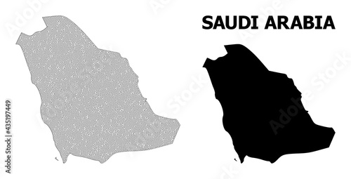 Polygonal mesh map of Saudi Arabia in high detail resolution. Mesh lines, triangles and points form map of Saudi Arabia.