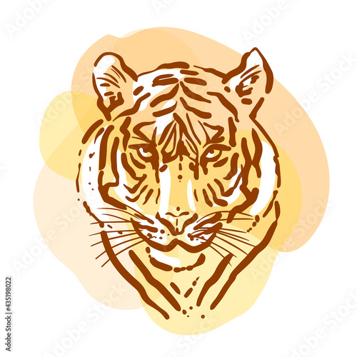 Tiger sketch portrait.. Hand drawn color illustration. Art of wild animal