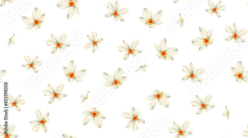 Seamless floral pattern with jonquil flowers on summer background, watercolor illustration. Template design for textiles, interior, clothes, wallpaper © ola-la