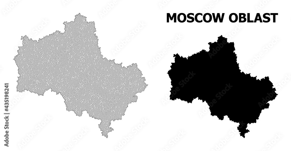 Polygonal mesh map of Moscow Region in high resolution. Mesh lines, triangles and points form map of Moscow Region.