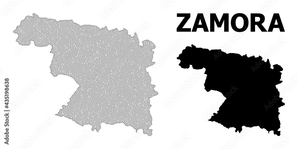 Polygonal mesh map of Zamora Province in high detail resolution. Mesh lines, triangles and points form map of Zamora Province.