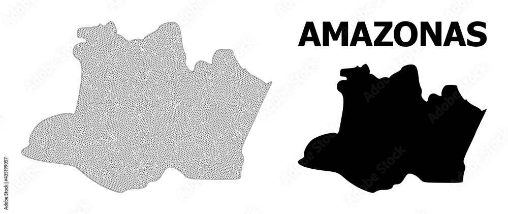 Polygonal mesh map of Amazonas State in high resolution. Mesh lines, triangles and points form map of Amazonas State.