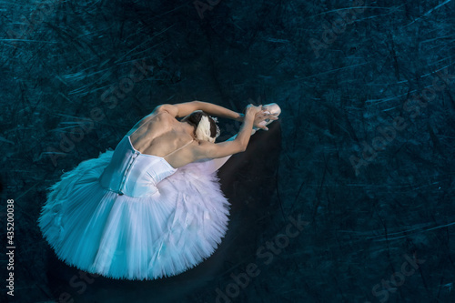 Fototapeta Naklejka Na Ścianę i Meble -  A prima ballerina in the role of 