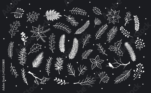 collection of hand drawn outlined and silhouettes winter foliage, branches twigs, flowers in white color over black background