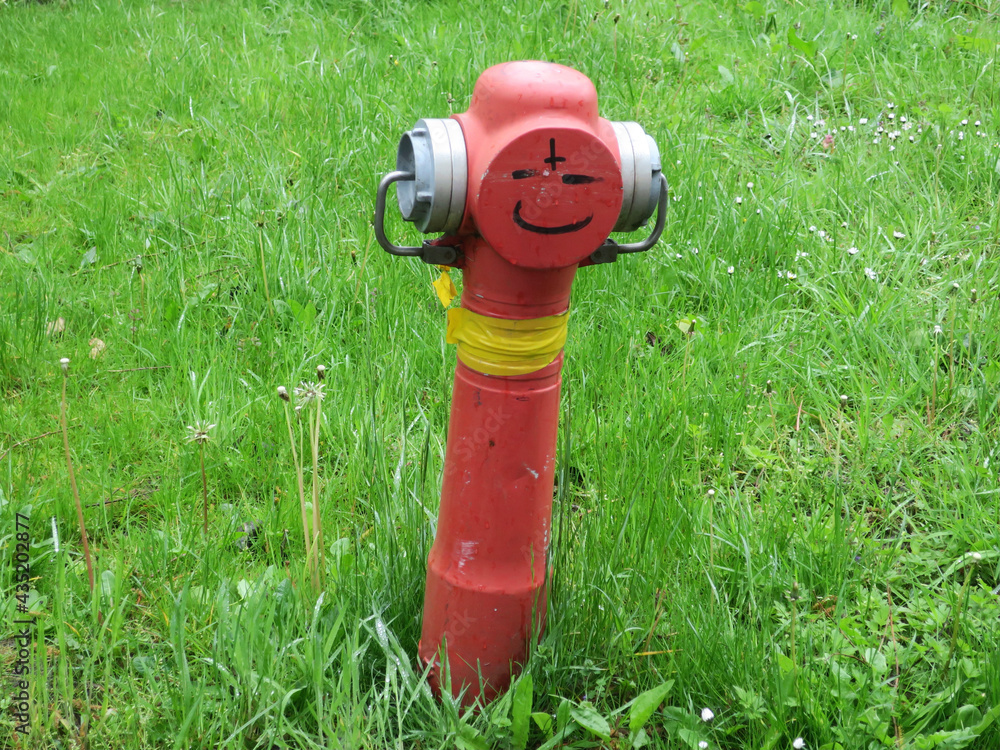 fireman, a red fire hydrant placed in a meadow fireman, a red fire hydrant placed in a meadow