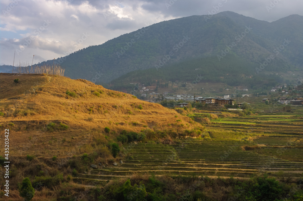 Obraz premium Scenic evening landscape with golden light on hill and rice terraces in the mountains of Lobesa, Bhutan