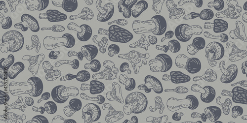 Mushrooms seamless pattern are hand-draw, doodle graphic. Autumn forest. Vector illustration. Monochrome outline style. For Textile, Wallpaper, wrapping paper, Card design.
