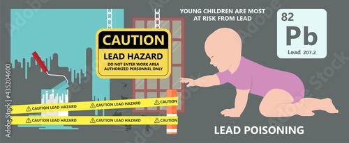 Heavy Metal Lead Iron toxic industry water air food based paint brain cancer kidney health human environmental contamination power plant risk danger fish Drink line test kids level lab poison waste