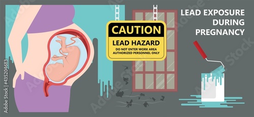 Heavy Metal Lead Iron toxic industry water air food based paint brain cancer kidney health human environmental contamination power plant risk danger fish Drink line test kids level lab poison waste