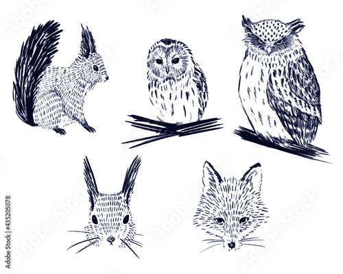 Northern Animals (Hokkaido, JAPAN)