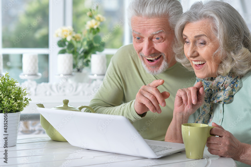 happy senior couple with laptop