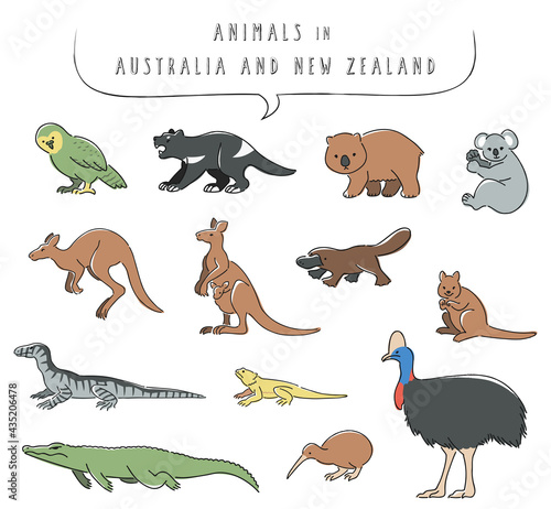 オーストラリアとニュージーランドの動物のイラストセット