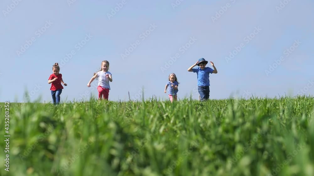 Happy children, boys and girls, run merrily through the green field. Children play catch-up in the park. The concept of children's happiness. Happy children, boys and girls, run merrily through the green field. Children play catch-up in the park. The concept of children's happiness.