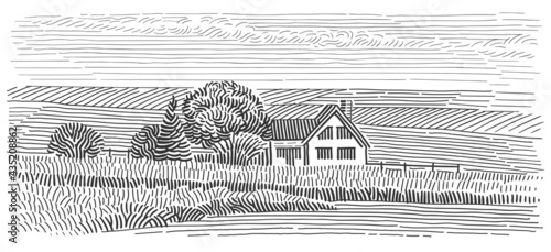 House in field line art illustration. Rural countryside monochrome sketch. Vector. 