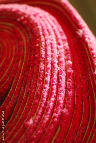 Close up of roll of pink carpet
