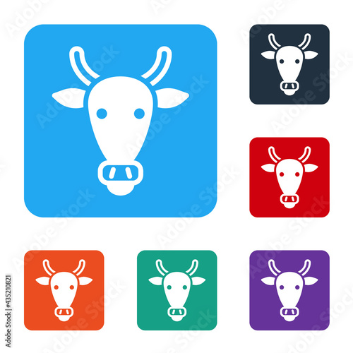 White Cow head icon isolated on white background. Set icons in color square buttons. Vector
