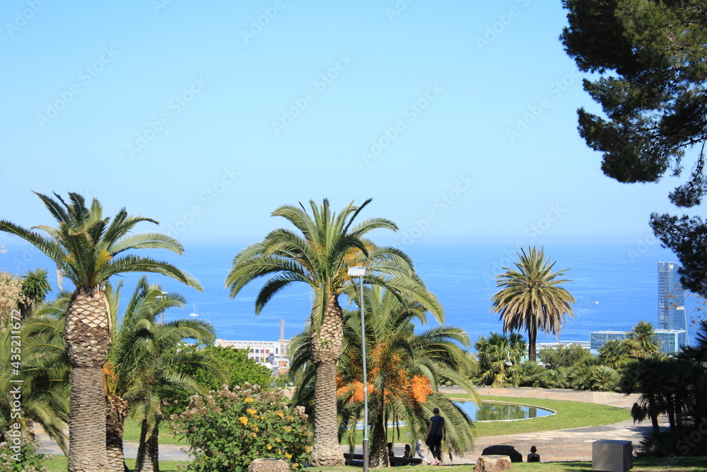 Palm trees in Barcelona