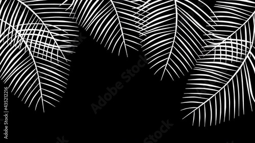 Coconut palm leaves, tropical summer frame and floral background animation. Seamless loop. Luma matte. Green branches.
