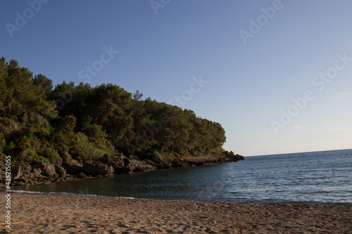 sea ​​shore and cape in the trees