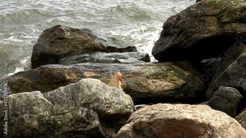 Ocean waves hit the rocky shore. Slow motion video shot.