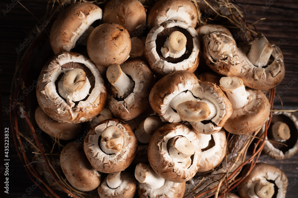 braune Pilze liegen auf dem Holztisch und bilden einen Hintergrund. Querformat. Als veganes und gesundes Lebensmittel enthalten Pilze auch wertvolle Mikronährstoffe. Zum Beispiel B Vitamine braune Pilze liegen auf dem Holztisch und bilden einen Hintergrund. Querformat. Als veganes und gesundes Lebensmittel enthalten Pilze auch wertvolle Mikronährstoffe. Zum Beispiel B Vitamine