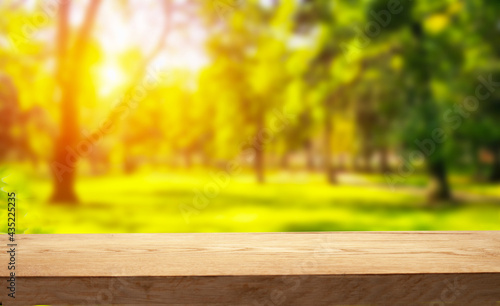 wood table free space and spring sunny garden  park  vegetable garden 