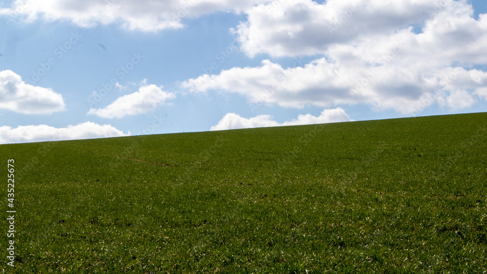 Wolken über Feld 