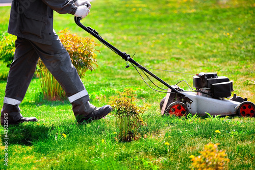 A gardener in overalls walks with a lawn mower on a green lawn. A man mows the lawn on a sunny summer day.