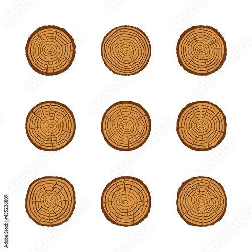 Trunk with Tree Growth Rings vector colored icons