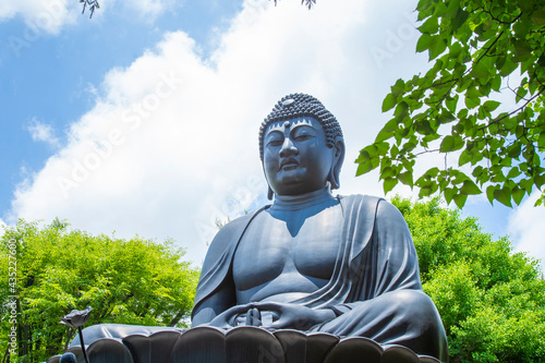 東京大仏 photo