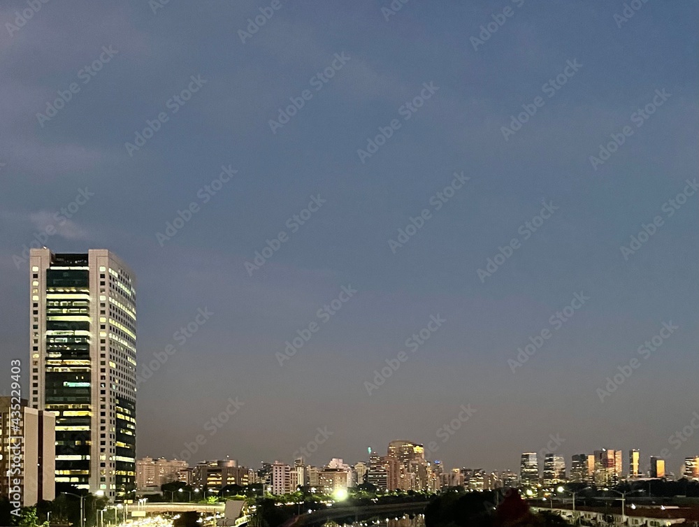 Naklejka premium Sao Paulo city skyline and Pinheiros River