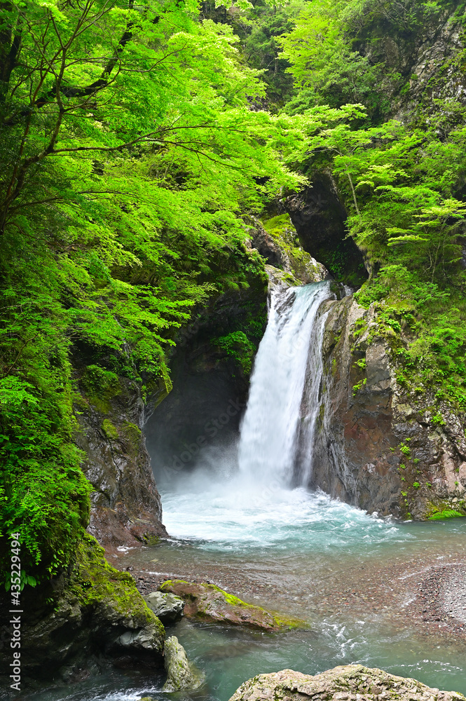 Obraz premium 四国徳島県の山中にある大釜の滝と大轟の滝。新緑と映える。